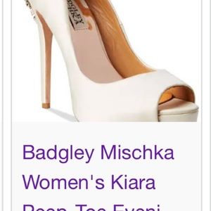 Badgley Mischka  shoes used only once size 7